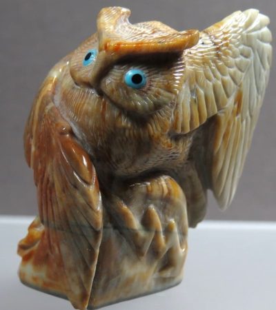 Hudson Sandy owl